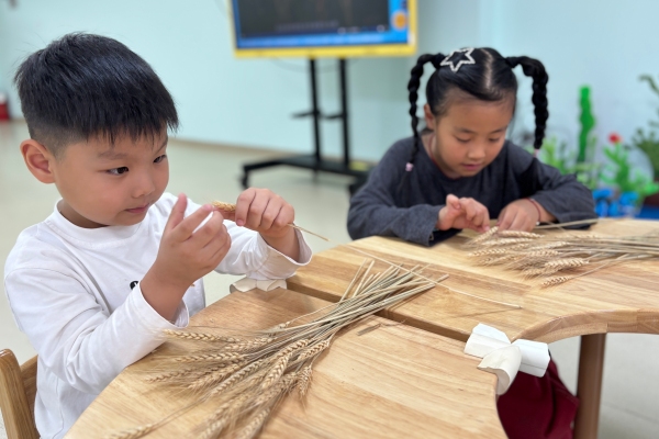 海州湾幼教集团上城分园开展“世界粮食日”主题活动.jpg