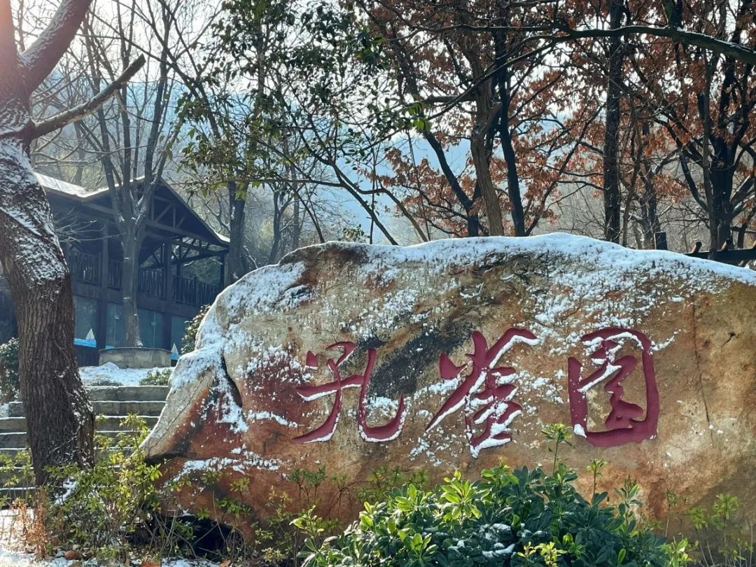 微信图片_20250217095145.jpg
