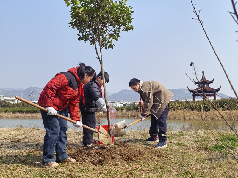 板桥小学 植树节.jpg