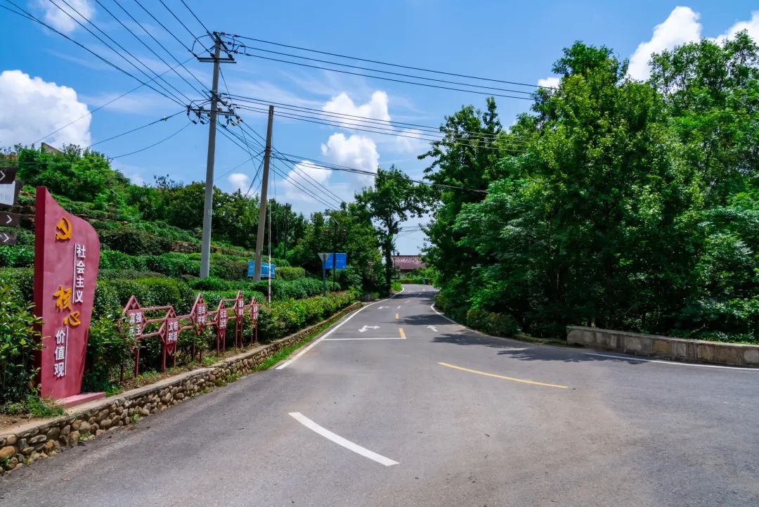 8进村道路.jpg